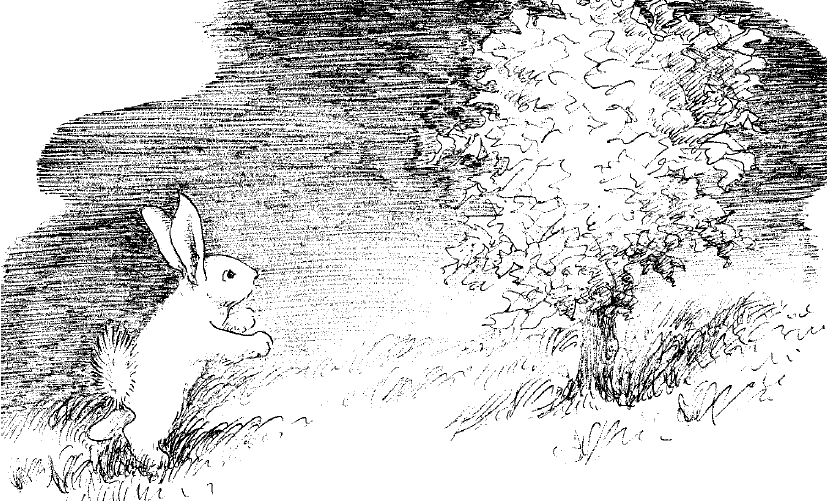 runaway bunny coloring pages